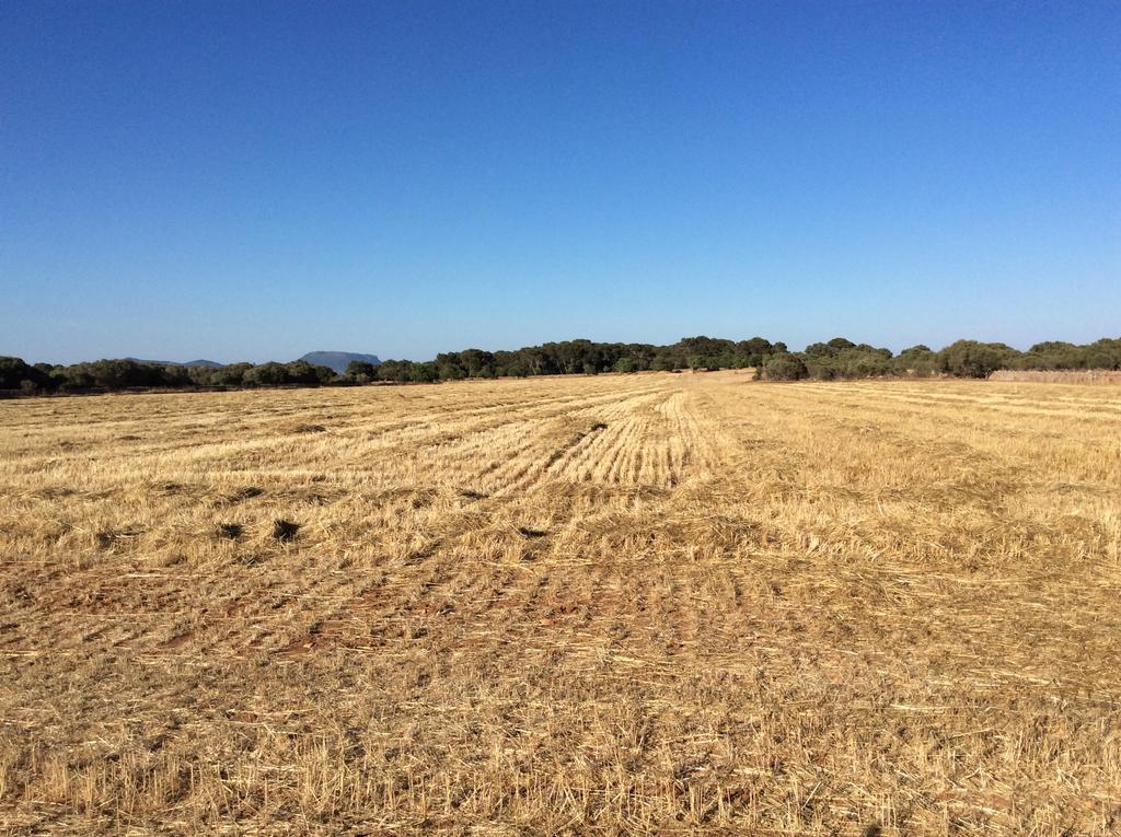 Sa Bassa Crua Vakantieboerderij Sa Torre